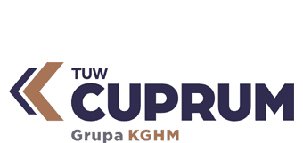 Bezgotówkowe naprawy powypadkowe CUPRUM